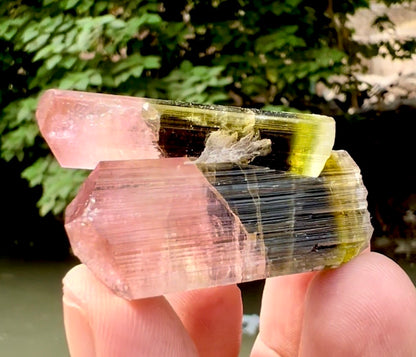Tourmaline Crystal from Astak Nala Pakistan, 30 gram