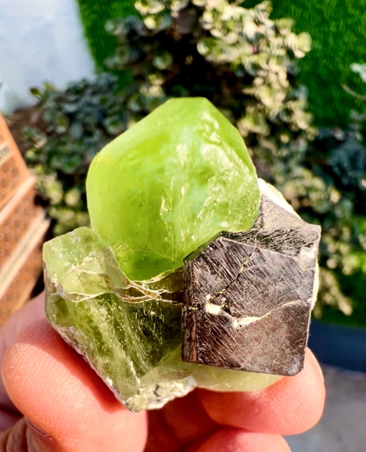 Peridot with Magnetite specimen from Pakistan, 28 gram