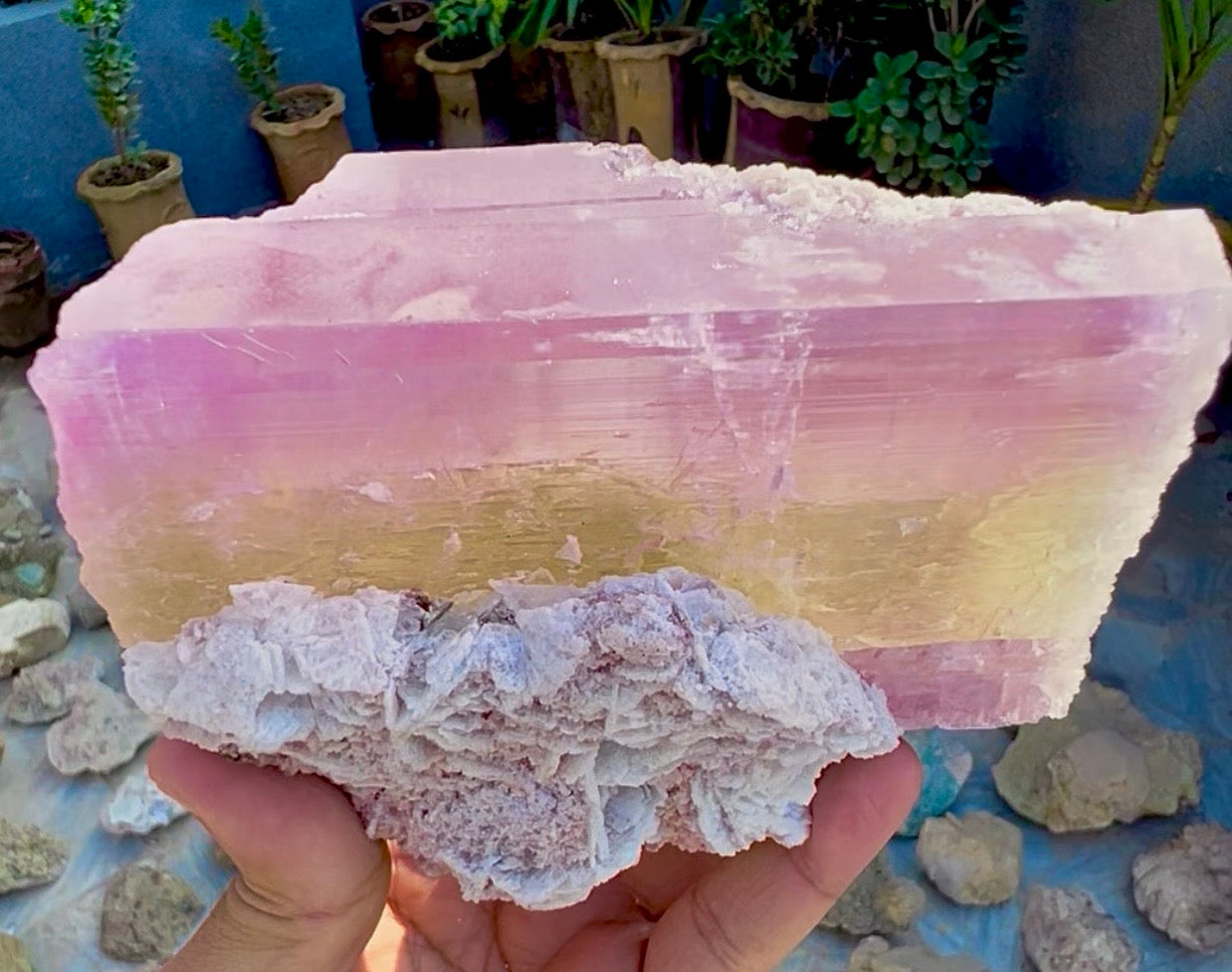Spodumene var Kunzite with Cleavlandite Albite from Afghanistan, 1231 gram