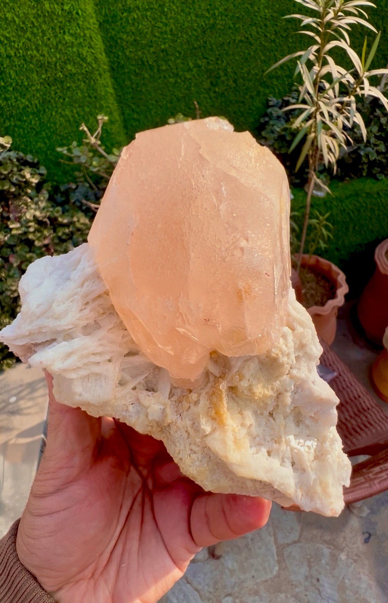 Morganite with Mica and Albite from Afghanistan, 699 gram
