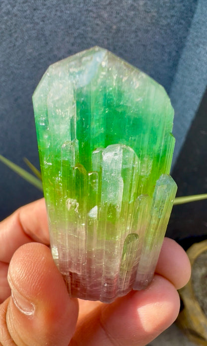 Multicolor Tourmaline Crystal from Paprok  - 76 gram