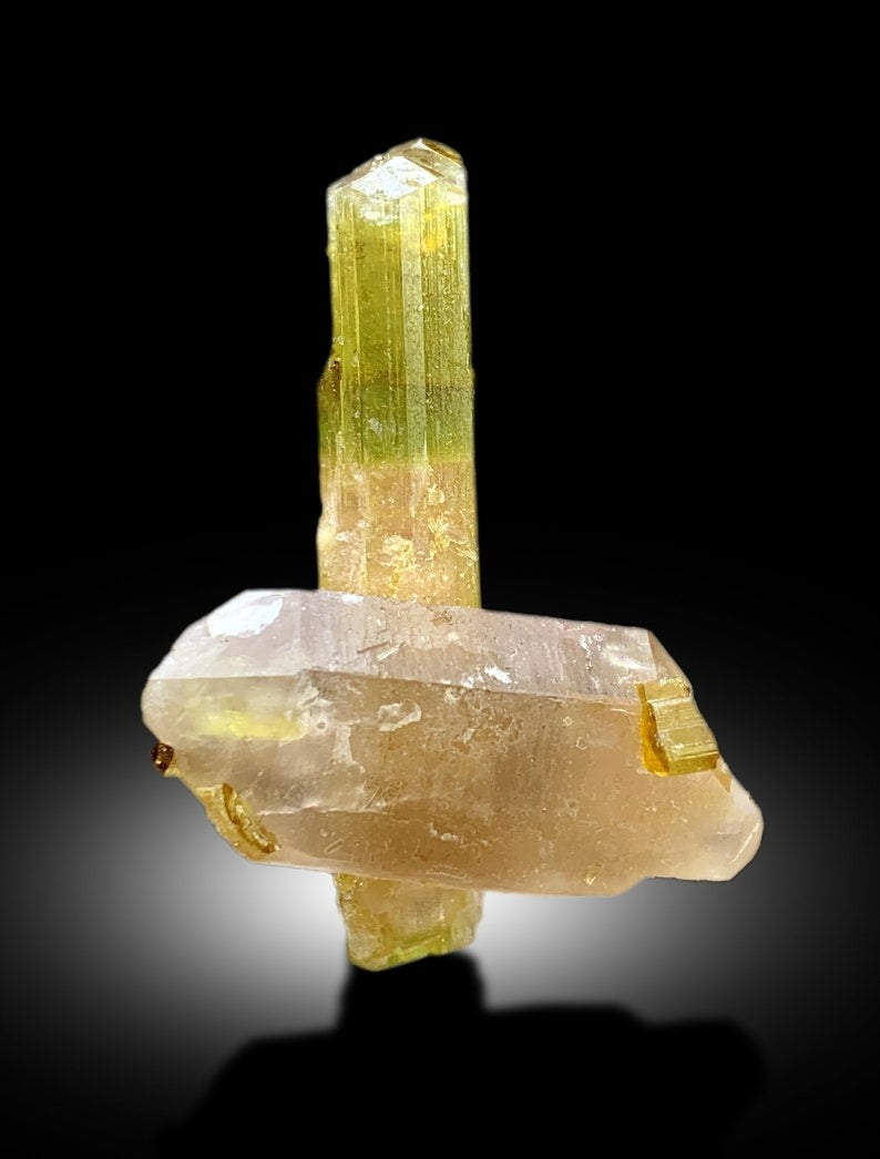 Natural Watermelon Tourmaline Crystal with Quartz, DT Tourmaline & DT Quartz, Paproke Tourmaline, Tourmaline Specimen - 67.50 CT