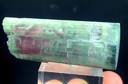 Tourmaline Crystal, Bicolor Tourmaline, Tourmaline for sale, Terminated Tourmaline crystal, Paprok Tourmaline, Raw Tourmaline, 44 gram