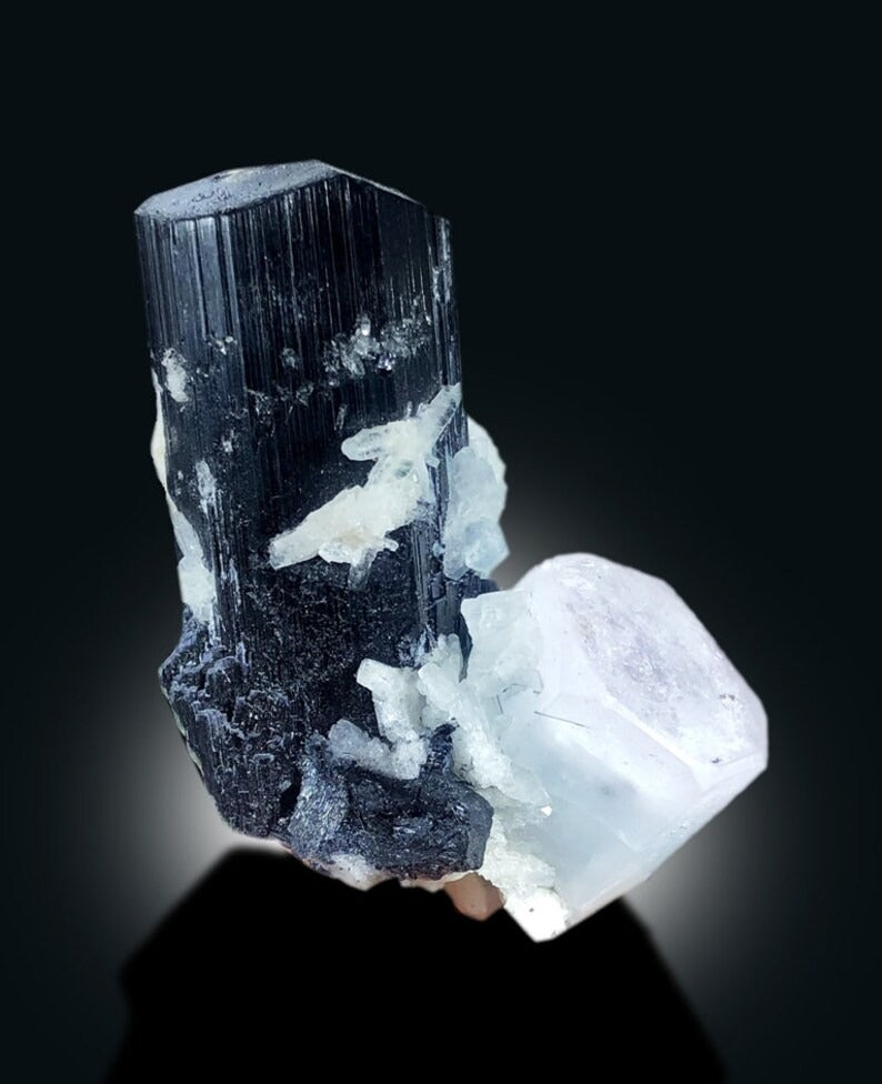 Bicolor Beryl on Schorl, Morganite var Aquamarine Crystal with Black Tourmaline, Mineral Specimen, 91 gram