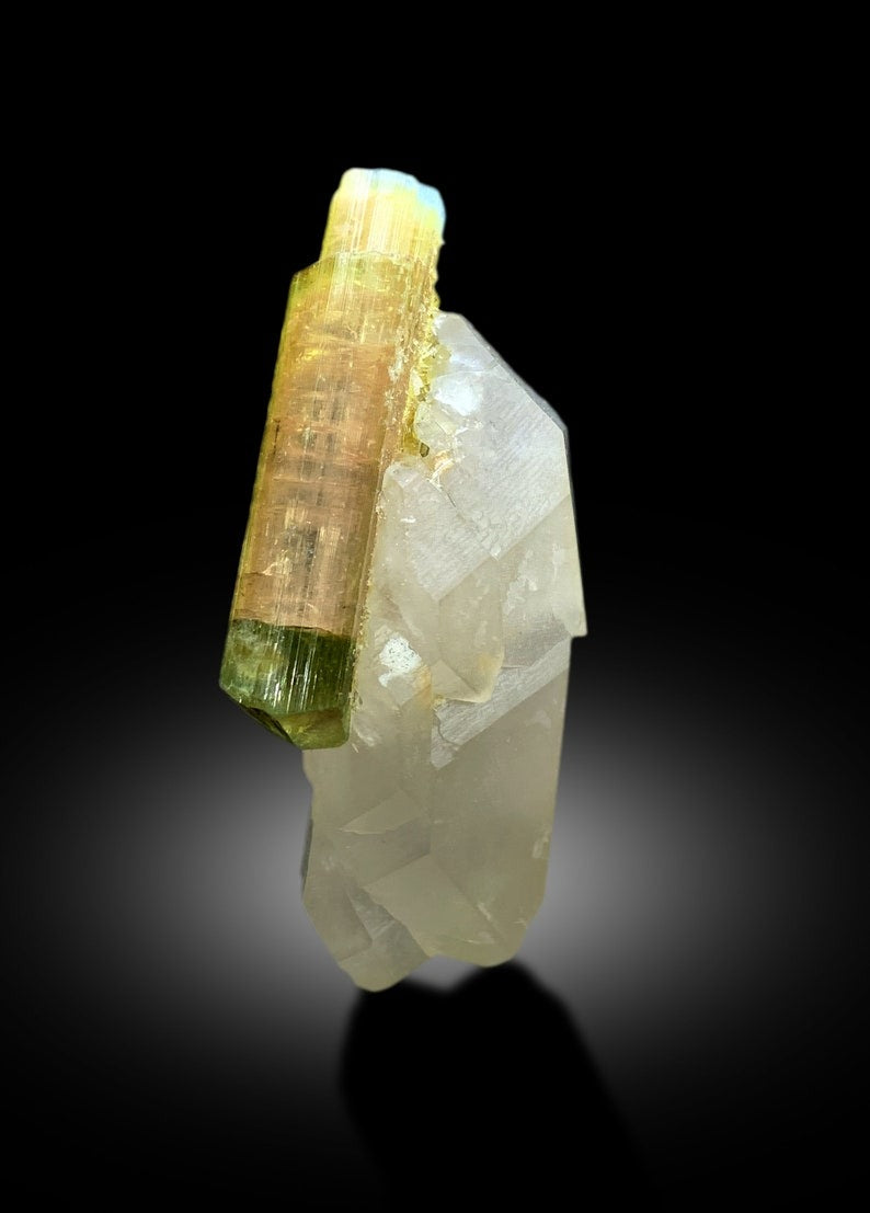 Natural Bicolor Tourmaline Crystal on Quartz, Tourmaline Specimen, Raw Mineral, Tourmaline from Paprok Afghanistan - 36 gram