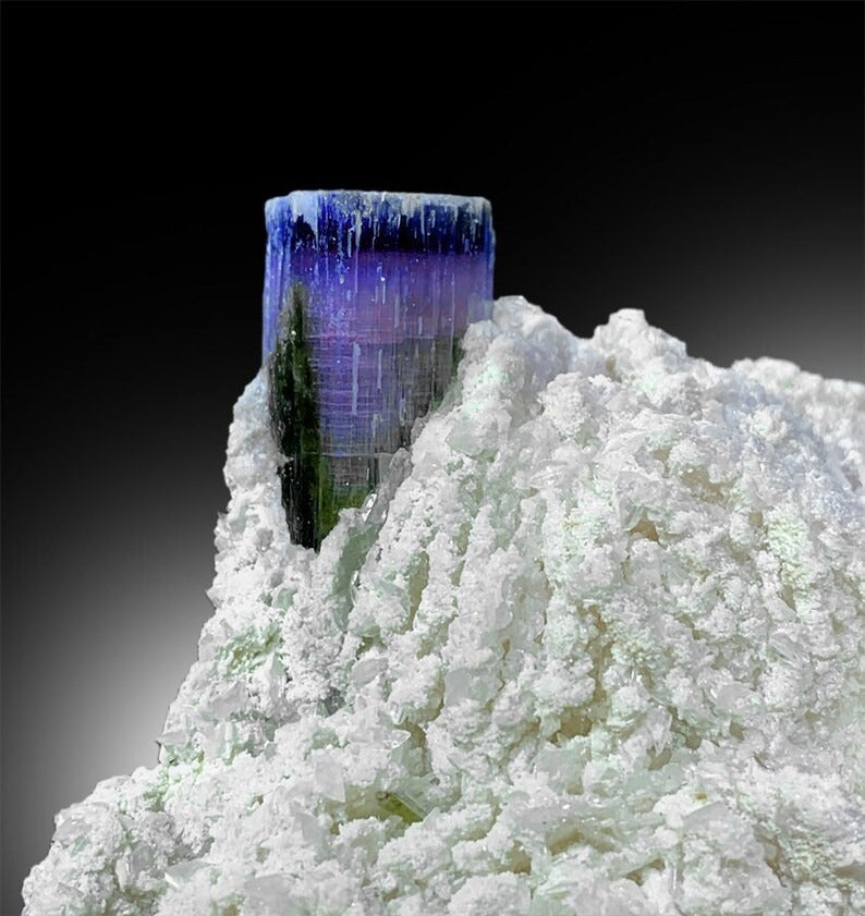 Blue Cap Tourmaline Crystals with Herderite, Lepidolite Albite Smoky Quartz Specimen from Paprok, 400 g, 128*100 mm