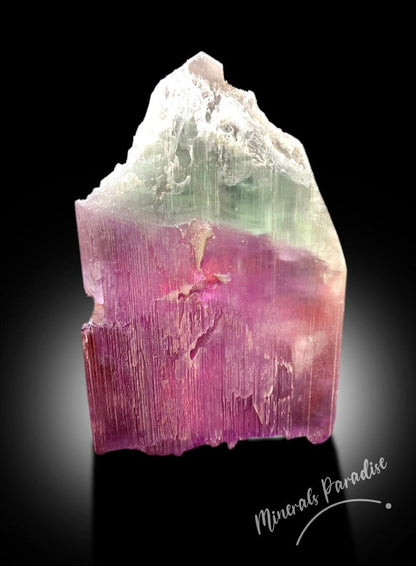 Bi-color Kunzite Crystal with Phantom, Natural Kunzite, Kunzite Stone, Pink Kunzite, Kunzite Rough, Kunzite Specimen 287 Gram