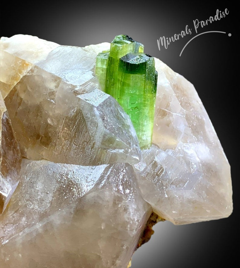 Green Tourmaline Crystal with Smoky Quartz, Natural Tourmaline, Green Color, Mineral Specimen From Paprok 922 Gram