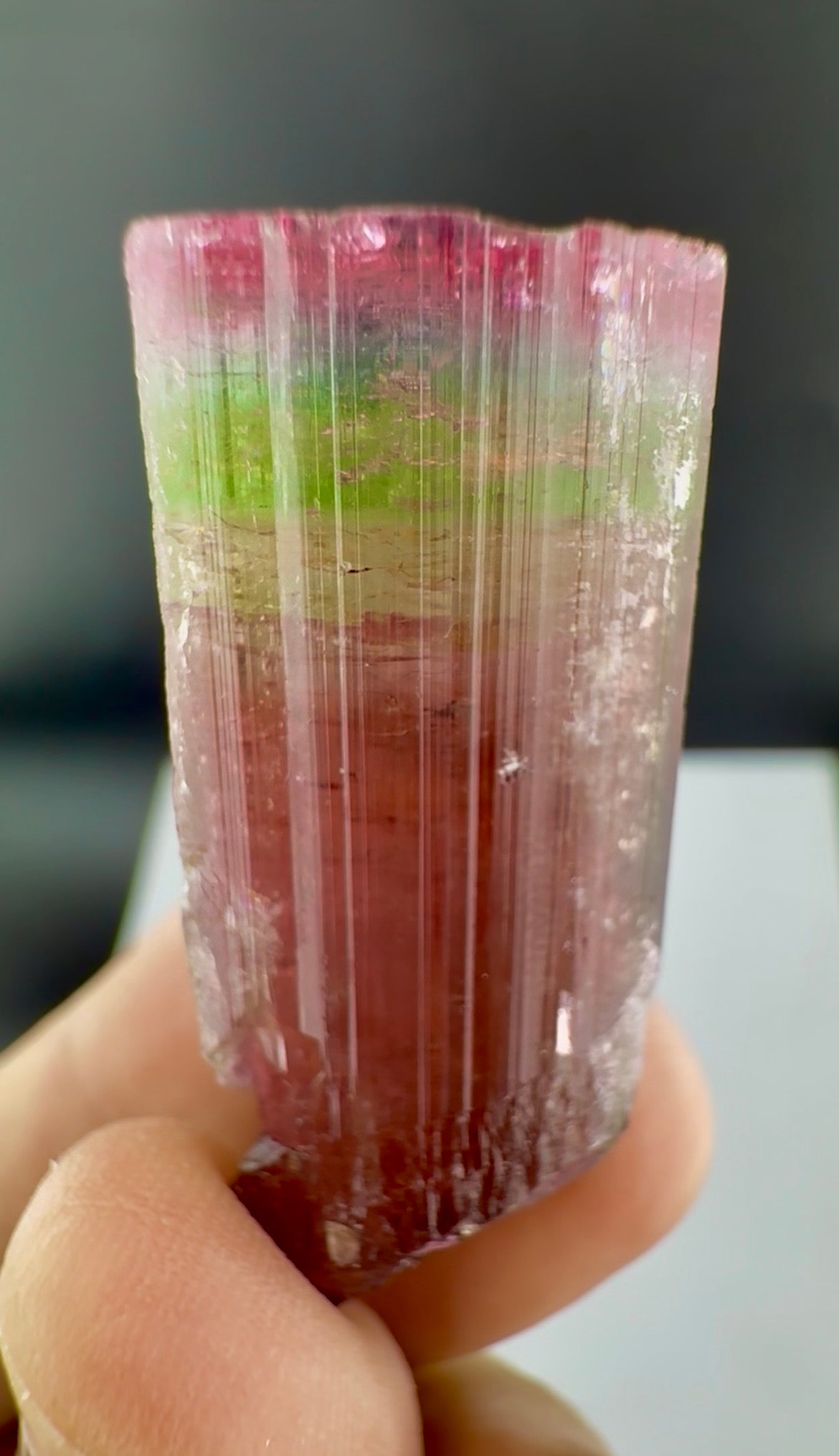 Rainbow Tourmaline crystal from Afghanistan, 125 carats