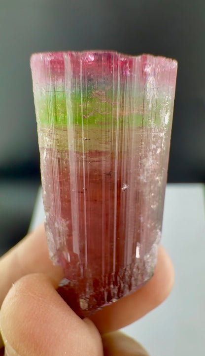 Rainbow Tourmaline crystal from Afghanistan, 125 carats