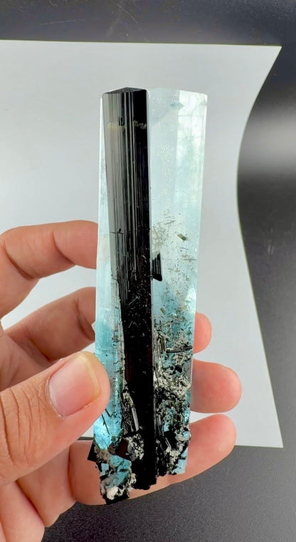 Aquamarine Crystal with Schorl from Pakistan, 160 Gram