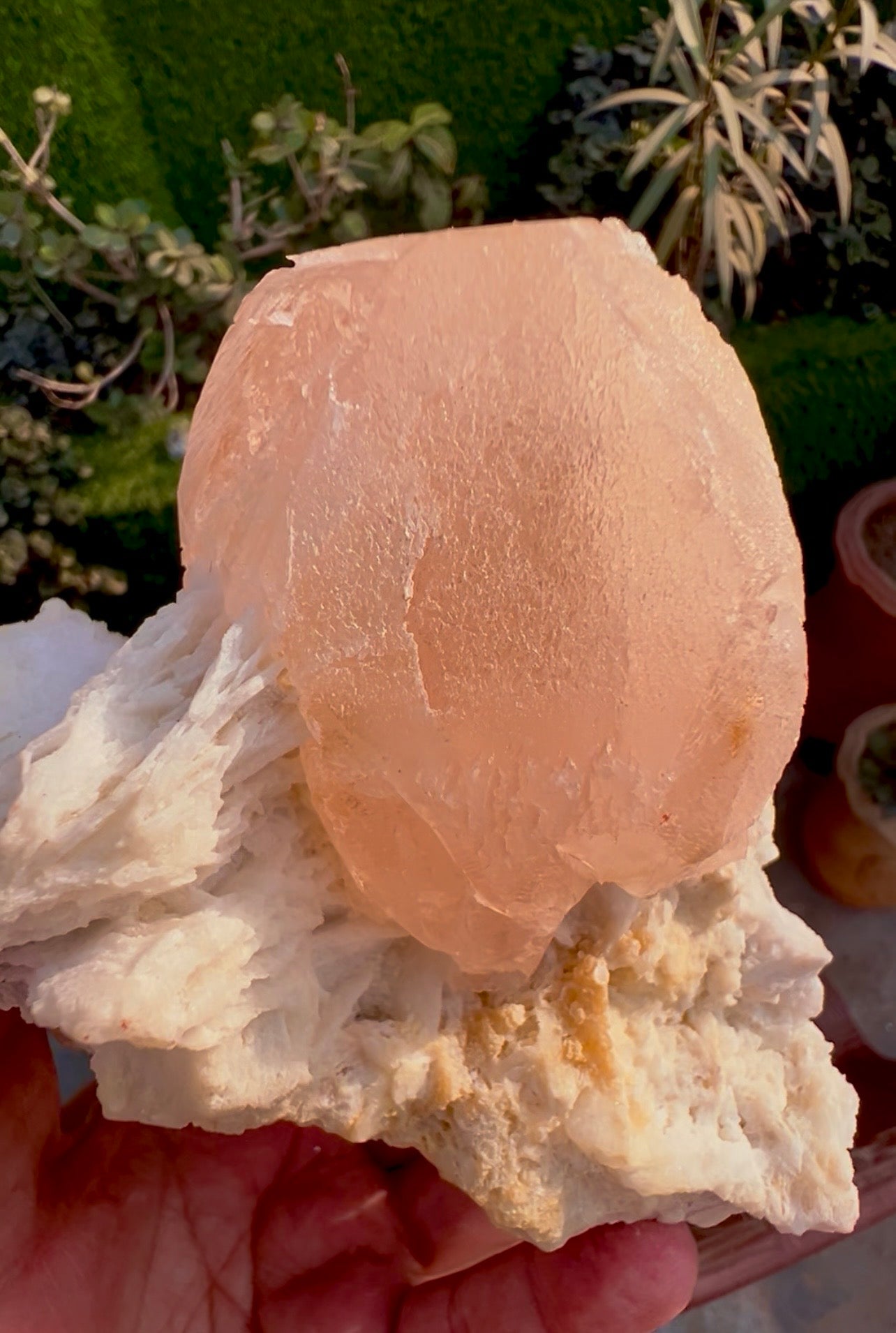 Morganite with Mica and Albite from Afghanistan, 699 gram