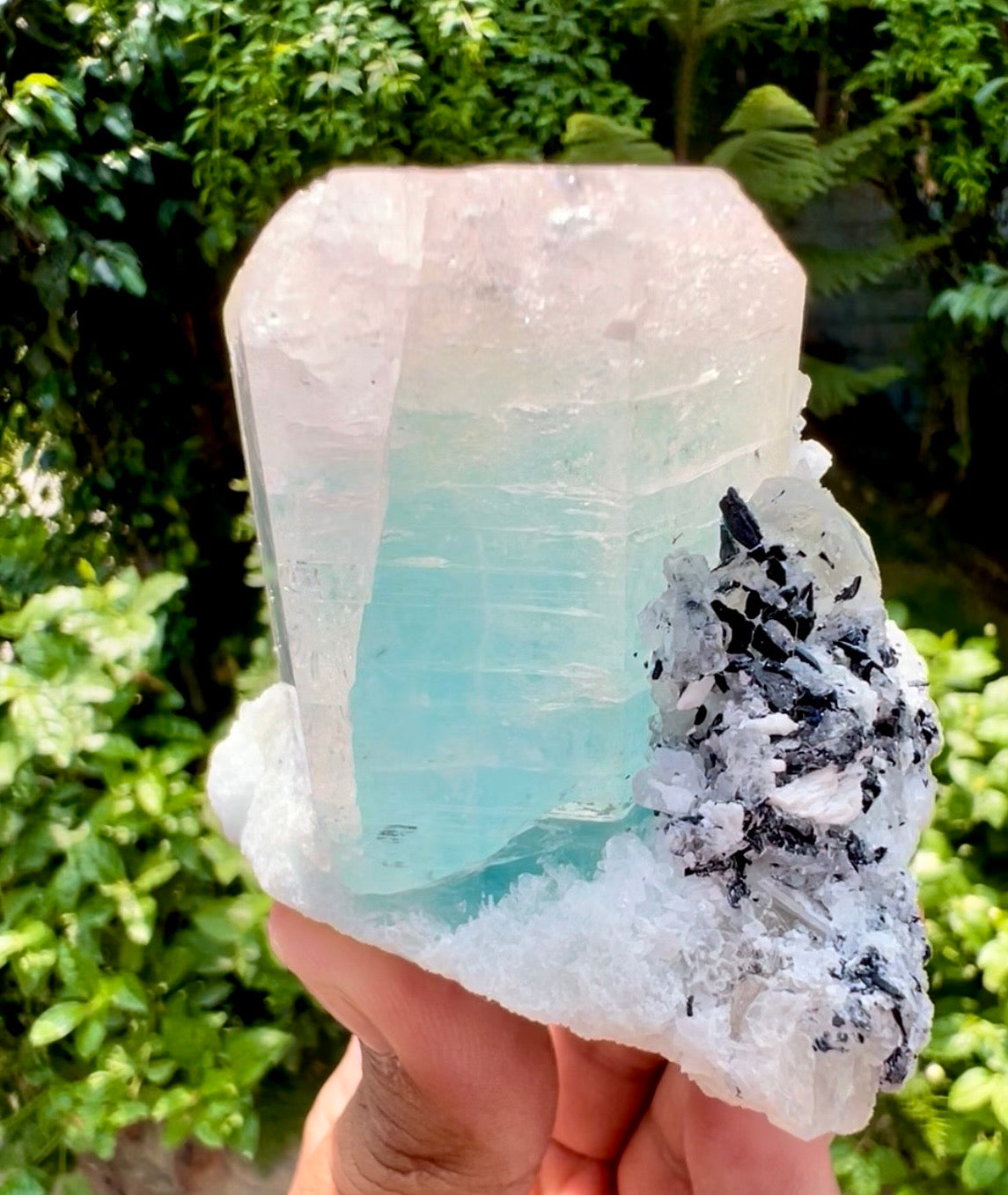 AquaMorganite Beryl with Tourmalines and Quartz on Albite from Afghanistan, 322 gram