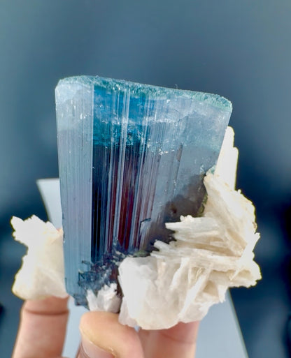 Blue Cap Tourmaline with Cleavlandite Albite from Afghanistan, 310 gran