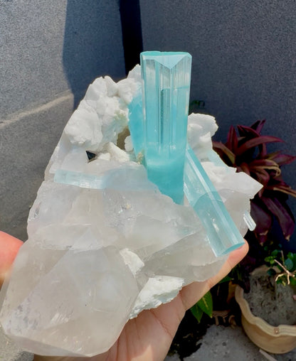 Museum Grade Aquamarine specimen with Quartz and Feldspar from Pakistan, 1696 gram