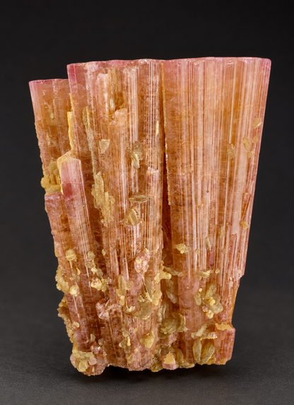 Orange Pink Tourmaline Crystal with Lepidolite Mica from Afghanistan, 316 gram