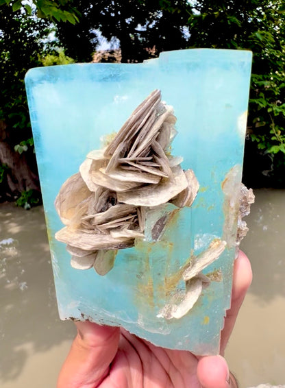 Aquamarine crystal with Muscovite Mica from Pakistan, 1433 gram