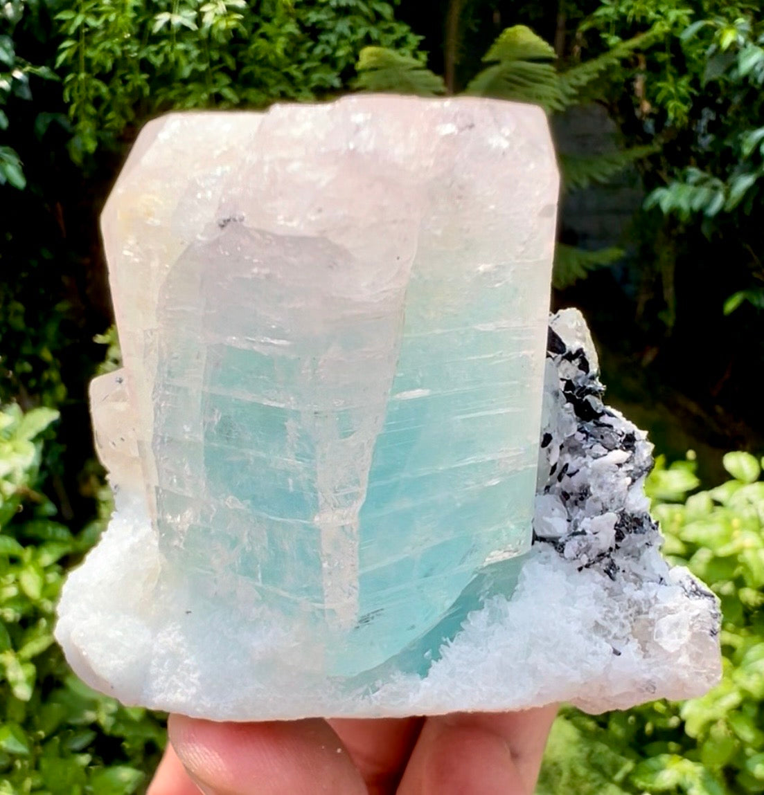 AquaMorganite Beryl with Tourmalines and Quartz on Albite from Afghanistan, 322 gram