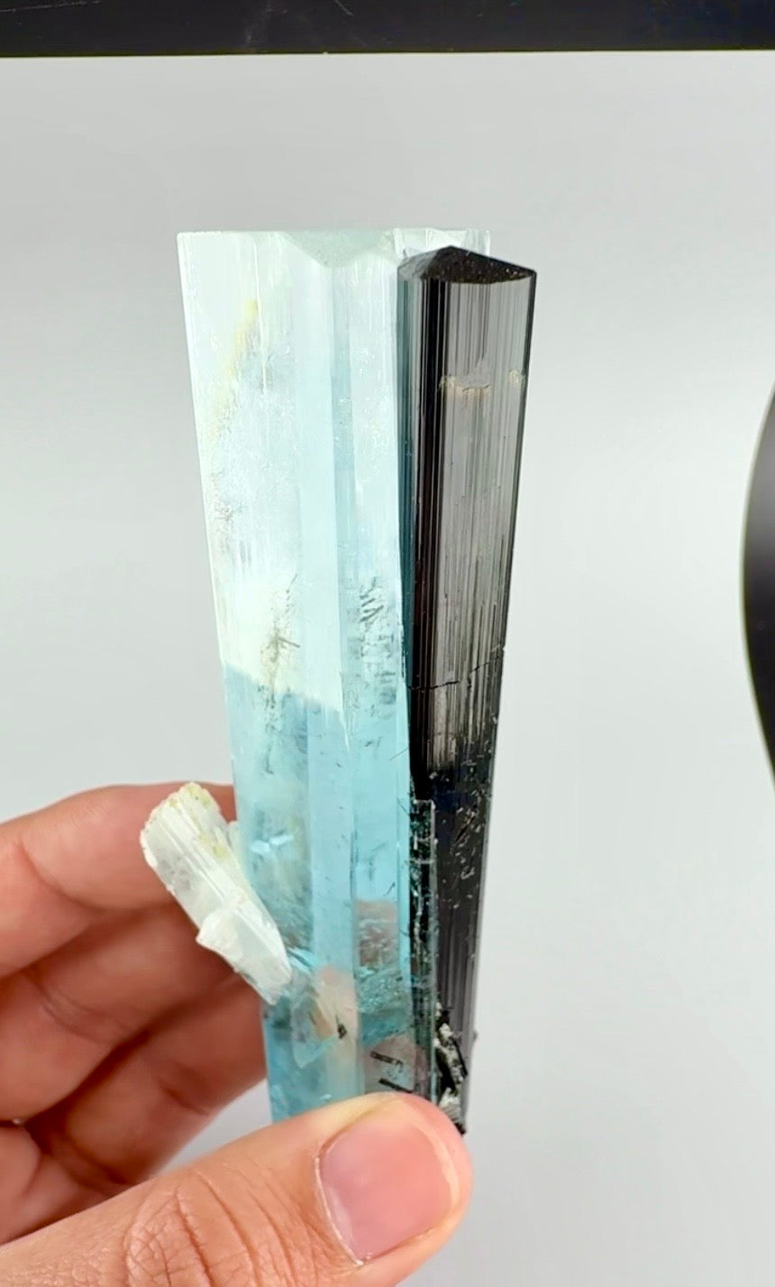 Aquamarine Crystal with Schorl from Pakistan, 160 Gram