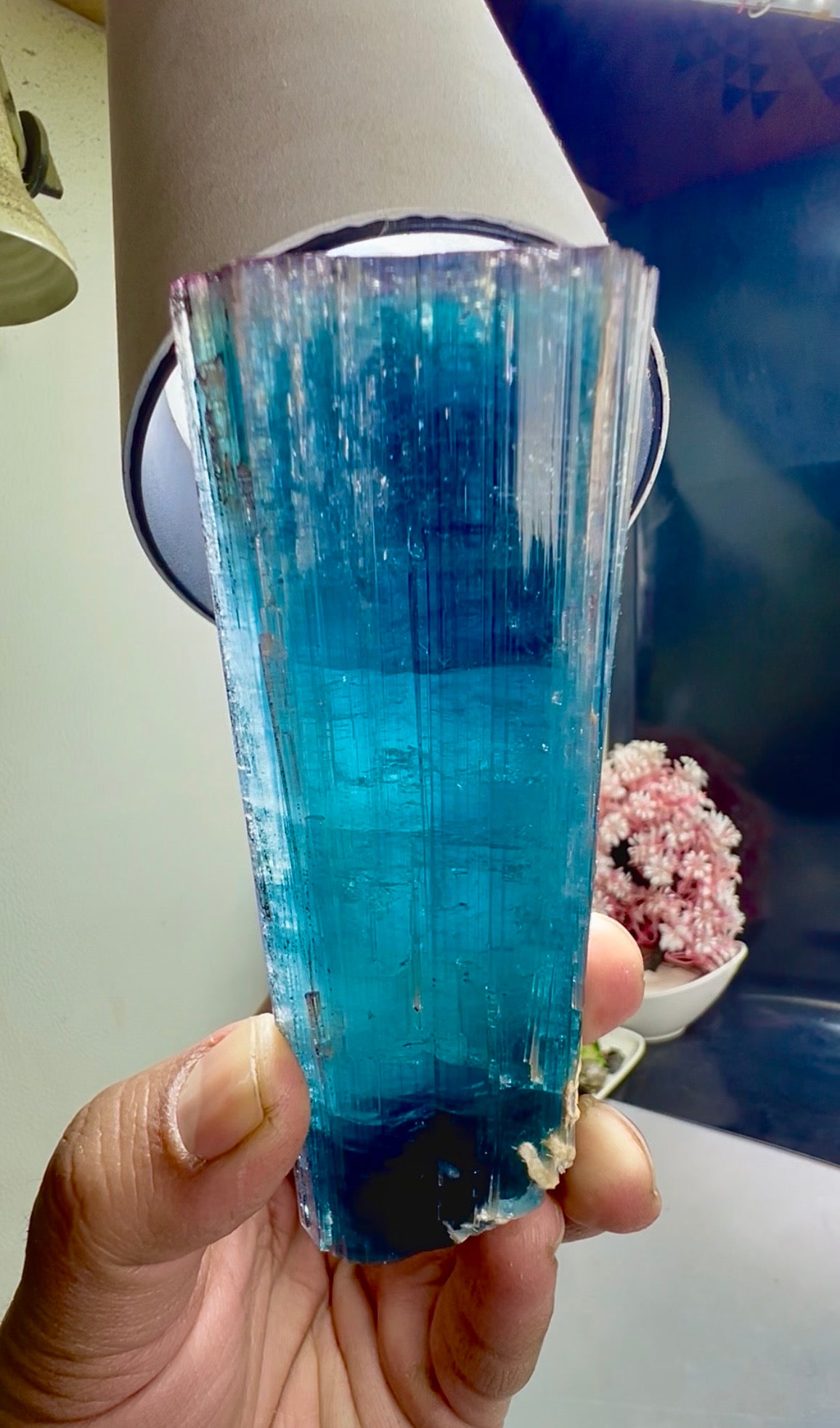 Pink Cap Indicolite Tourmaline crystal from Paprok Afghanistan , 381 gram