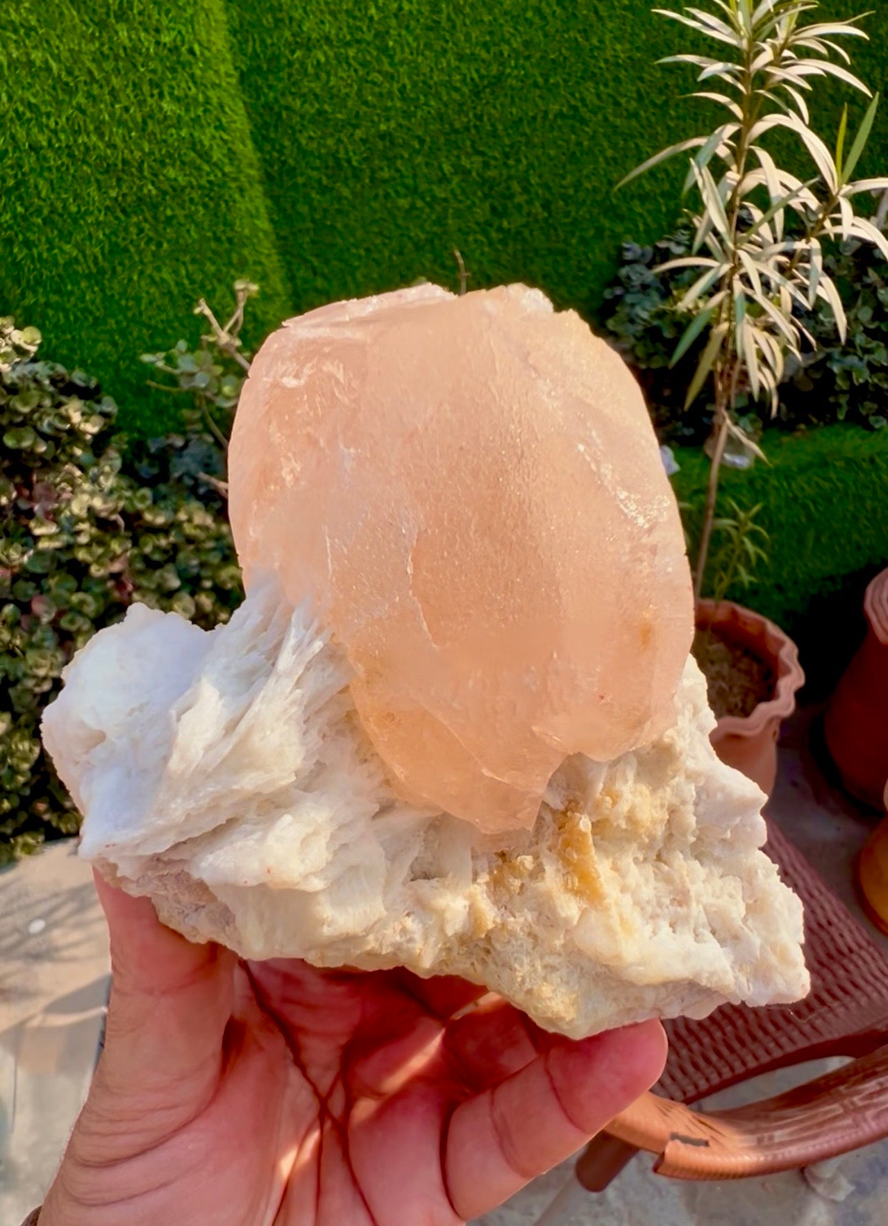 Morganite with Mica and Albite from Afghanistan, 699 gram