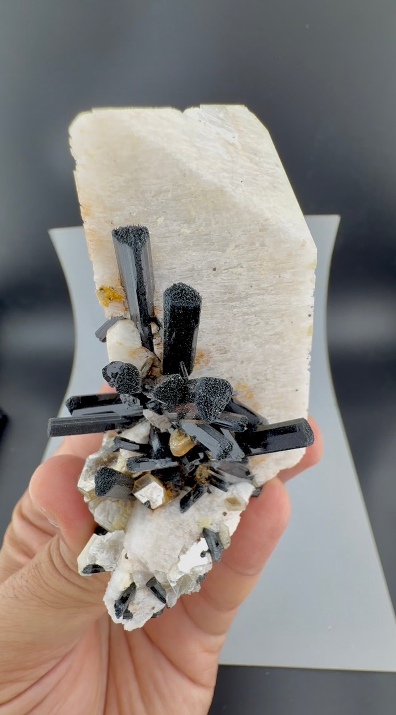 Schorl Tourmaline crystals on Microcline Feldspar from Pakistan, 186 gram