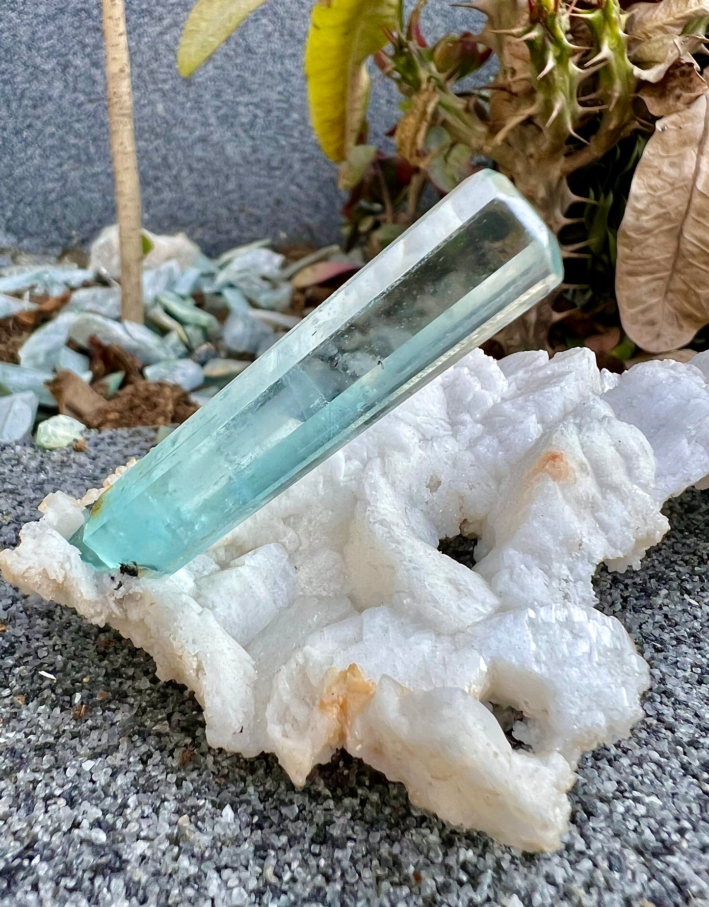 Aquamarine crystal on Albite from Pakistan, 107 gram