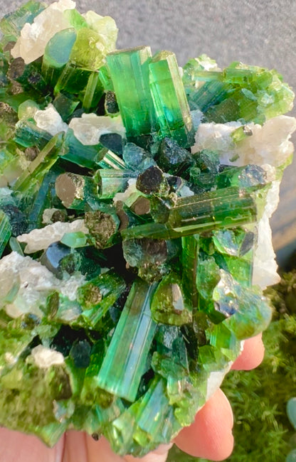 Green Tourmalines with Pink Kunzite from Afghanistan, 291 gram