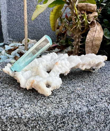 Aquamarine crystal on Albite from Pakistan, 107 gram