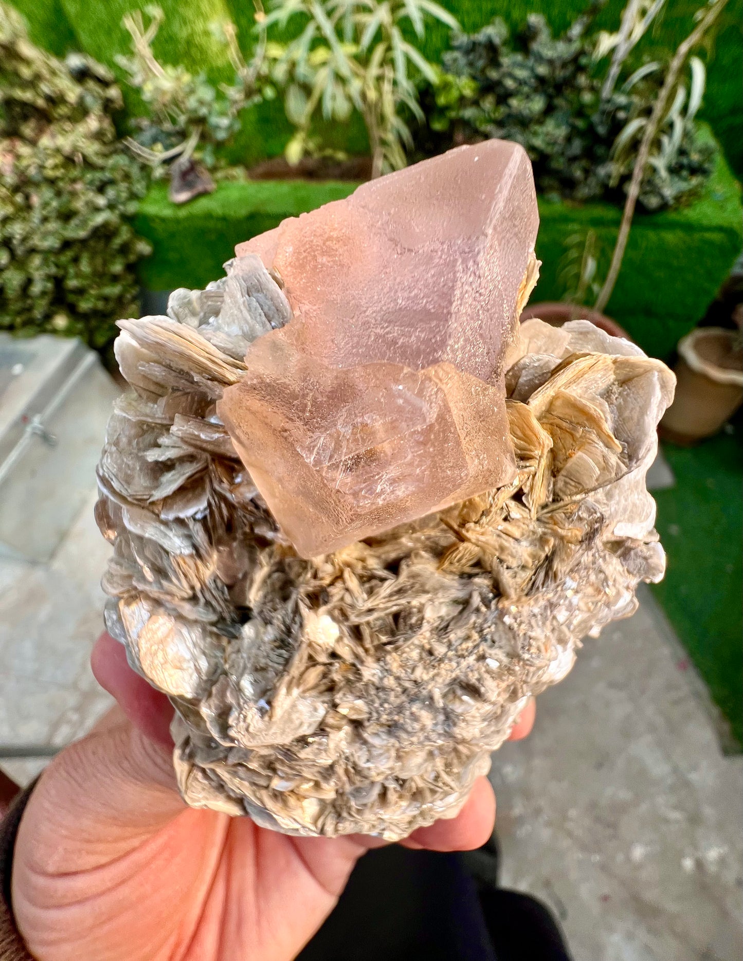 Pink Fluorite crystal on Mica, Fluorite Specimen from Pakistan, 355 Gram