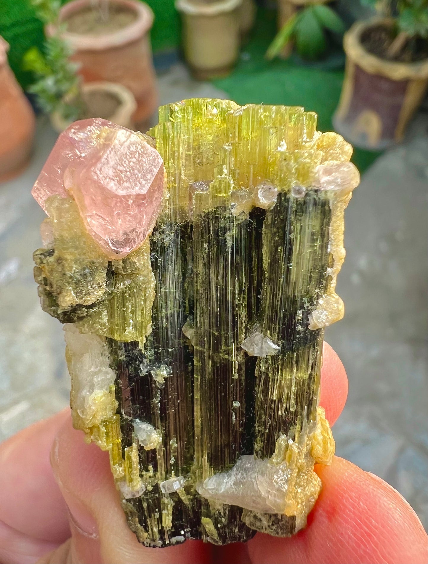 Pink Apatite crystals on Tourmaine from Pakistan, 28 gram