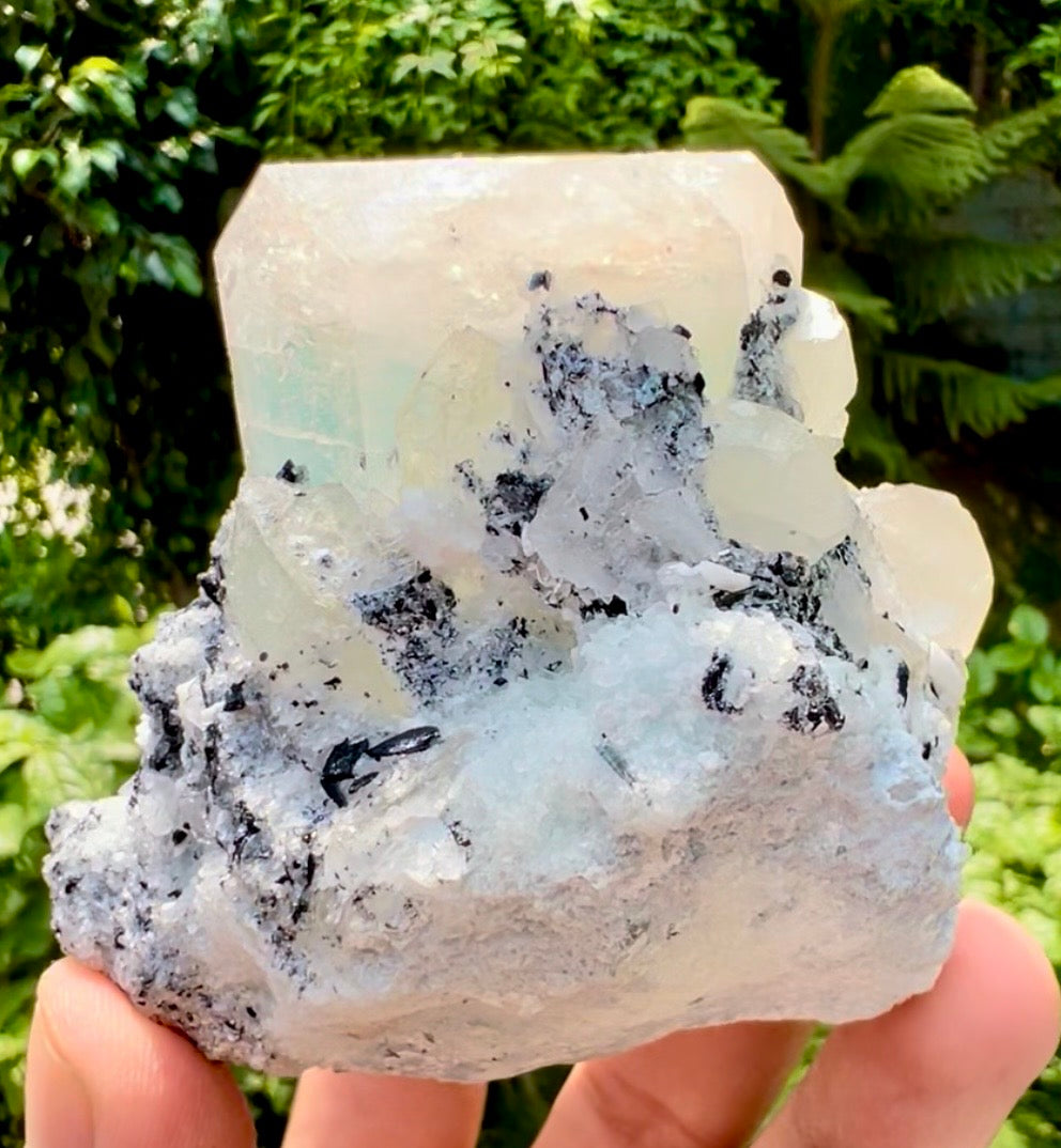 AquaMorganite Beryl with Tourmalines and Quartz on Albite from Afghanistan, 322 gram