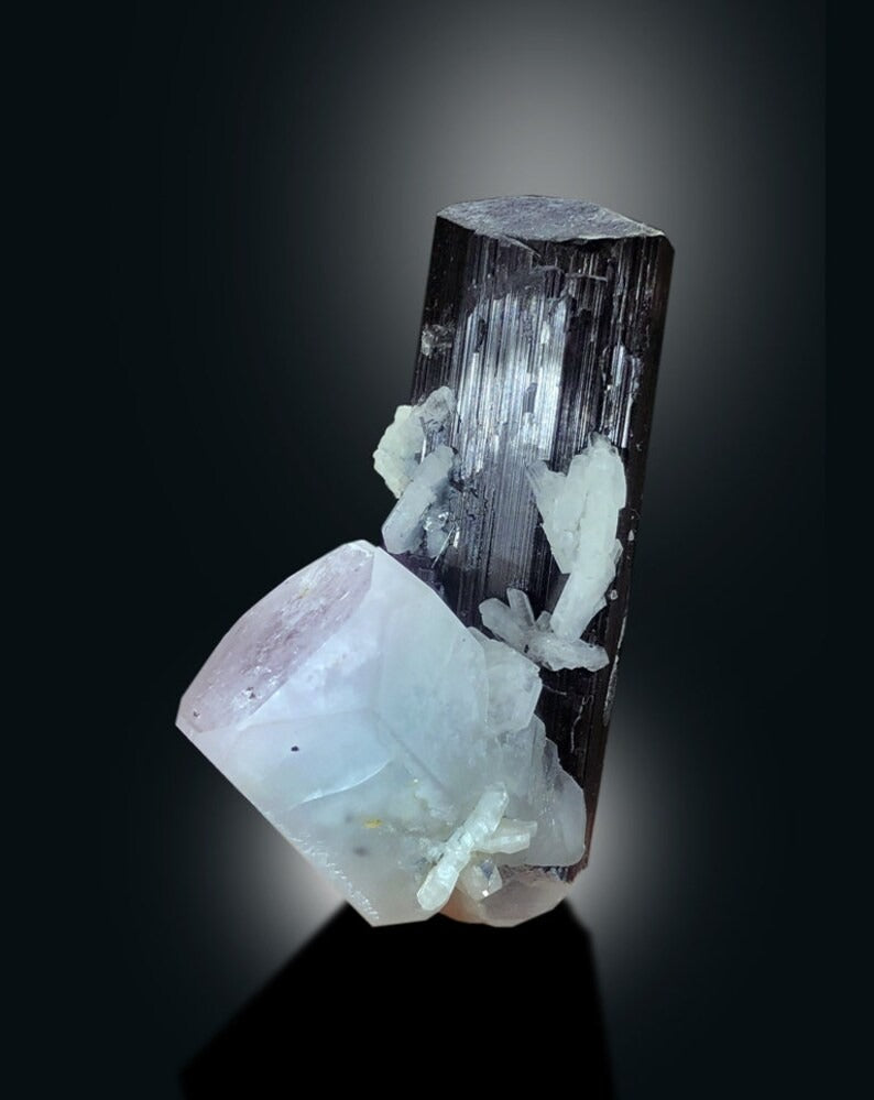 Bicolor Beryl on Schorl, Morganite var Aquamarine Crystal with Black Tourmaline, Mineral Specimen, 91 gram