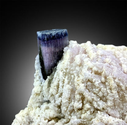 Blue Cap Tourmaline Crystals with Herderite, Lepidolite Albite Smoky Quartz Specimen from Paprok, 400 g, 128*100 mm