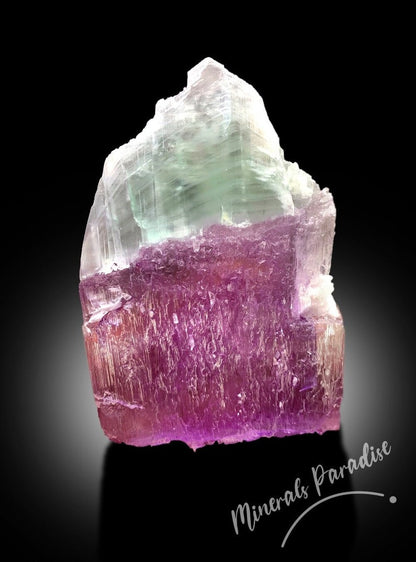 Bi-color Kunzite Crystal with Phantom, Natural Kunzite, Kunzite Stone, Pink Kunzite, Kunzite Rough, Kunzite Specimen 287 Gram