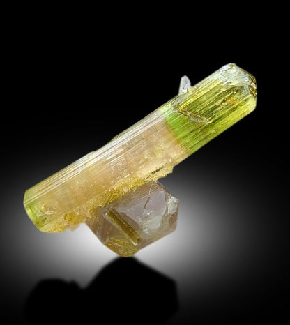 Natural Watermelon Tourmaline Crystal with Quartz, DT Tourmaline & DT Quartz, Paproke Tourmaline, Tourmaline Specimen - 67.50 CT