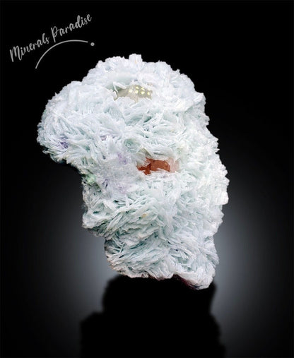 Natural Morganite Specimen with Microlite, Quartz and Cleavlandite Albite, Morganite Crystal from Afghanistan, 2063 gram