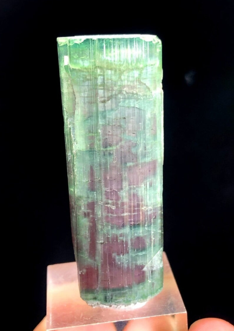 Tourmaline Crystal, Bicolor Tourmaline, Tourmaline for sale, Terminated Tourmaline crystal, Paprok Tourmaline, Raw Tourmaline, 44 gram