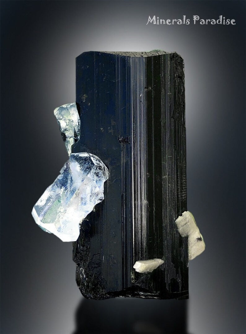 Aquamarine Crystal on Tourmaline, Natural Aquamarine, Black Tourmaline, Aquamarine Specimen, Aquamarine For Sale 132 g