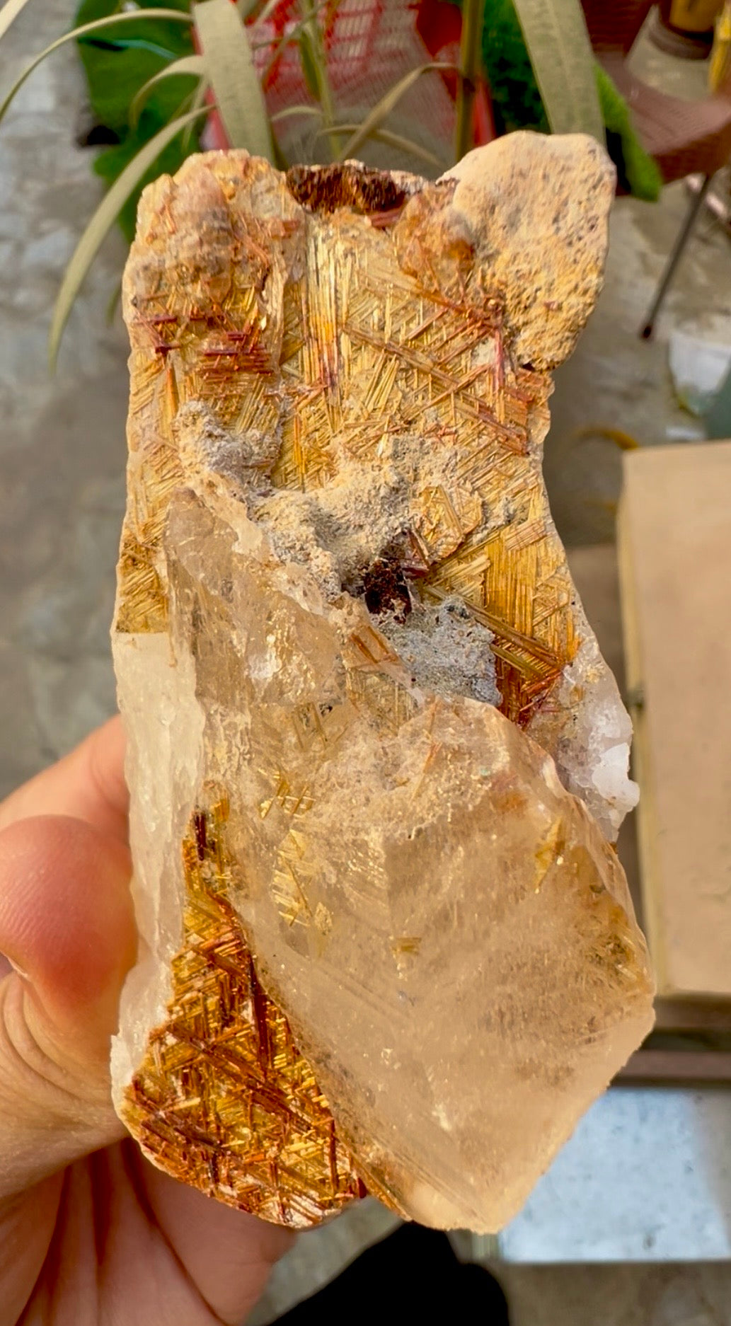 Sagenite Rutile on Quartz Crystal Specimen, Pakistan, 199 gram