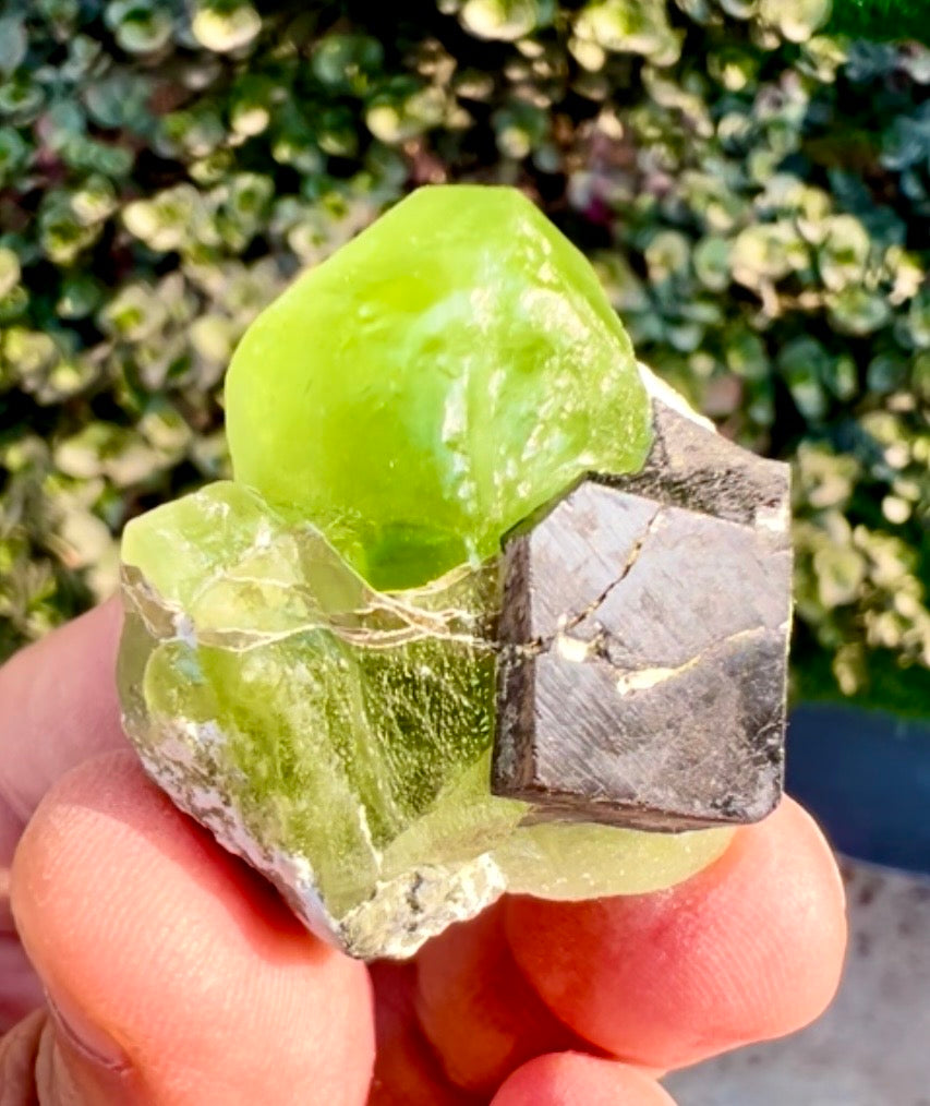 Peridot with Magnetite specimen from Pakistan, 28 gram