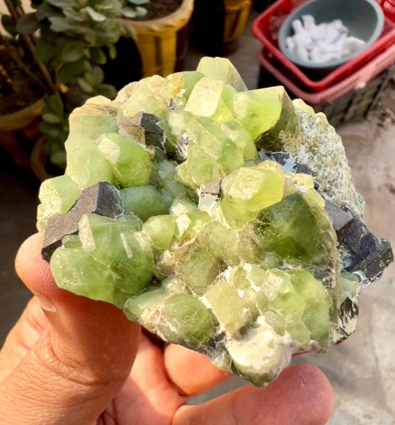 Peridot Crystals with Magnetite from Pakistan, 203 gram