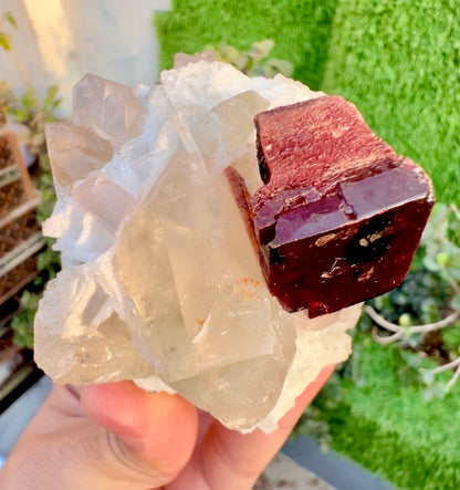 Tantalite, Indicolite Tourmaline, Morganite, Quartz and albite from Afghanistan, 244 gram