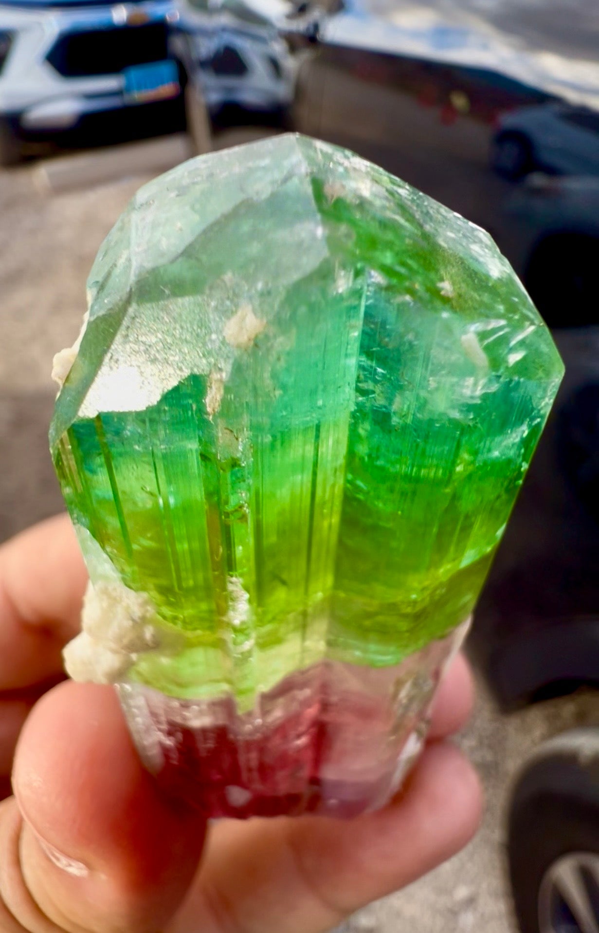 Watermelon Tourmaline Crystal with Lepidolite and Microlite from Paprok, 78 gram