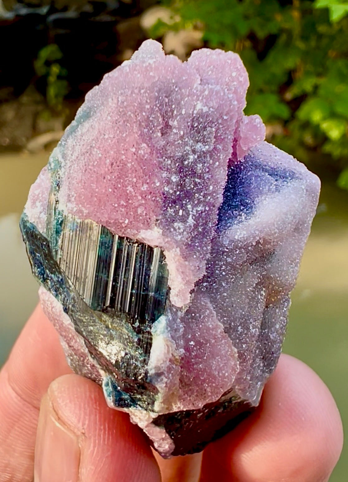 Crystallized Rose Quartz on Schorl Tourmaline from Afghanistan, 56 gram