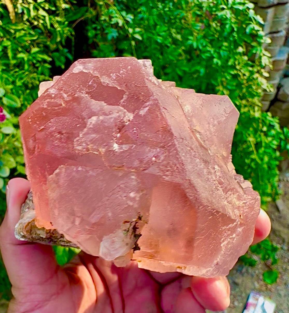 Pink Fluorite on Mica from Pakistan, 1127 gram