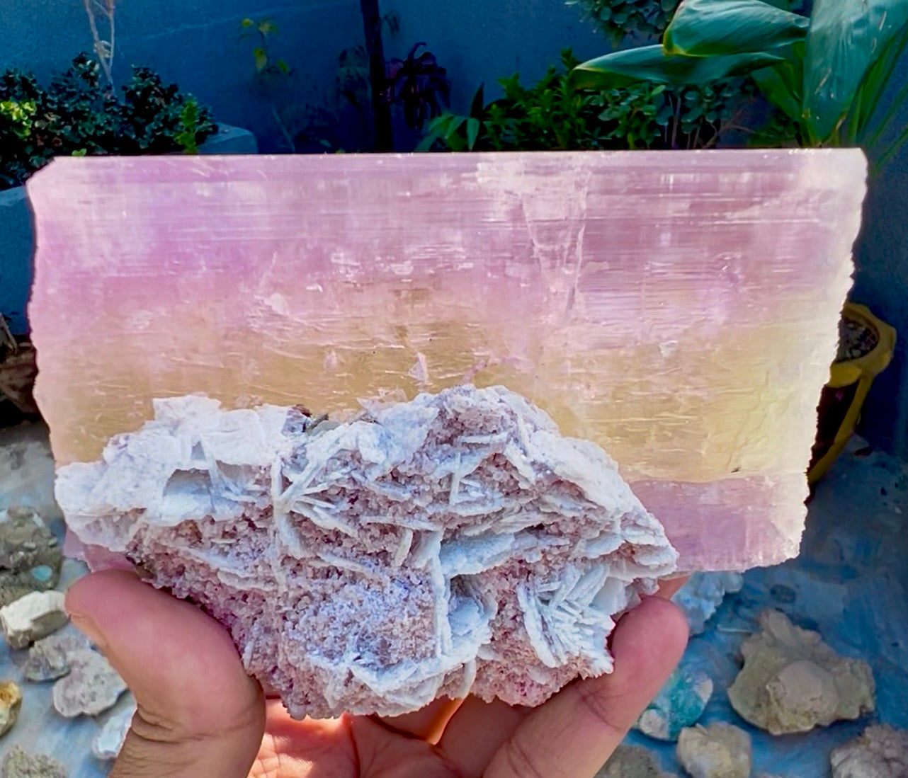 Spodumene var Kunzite with Cleavlandite Albite from Afghanistan, 1231 gram
