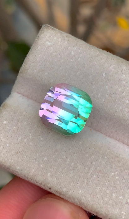Presenting 8CT Exquisite Watermelon Tourmaline, Premium Bi-Color Tourmaline