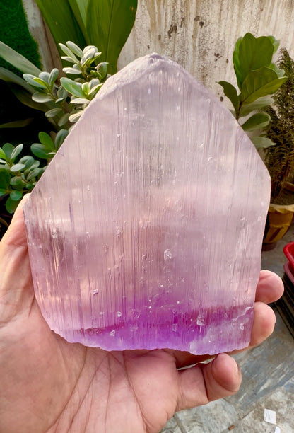 Pink Kunzite Crystal from Afghanistan, 854 gram