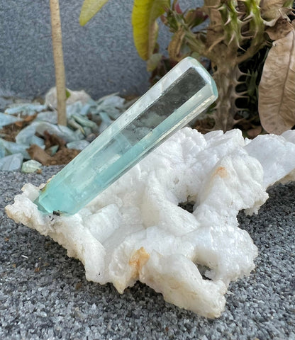 Aquamarine crystal on Albite from Pakistan, 107 gram